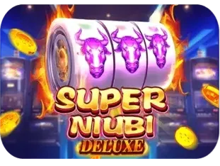 Super Niubi Deluxe game cover