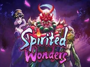 Spirited Wonders game cover