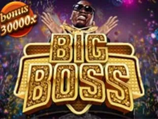 Big Boss game cover