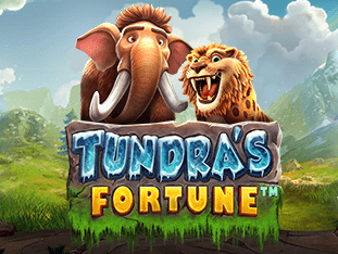 Tundra’s Fortune™ game cover