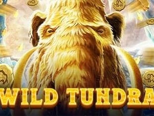 Wild Tundra game cover